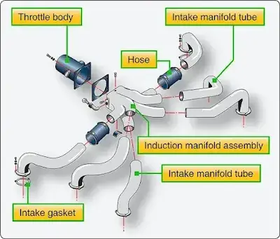 Aircraft reciprocating engine induction system