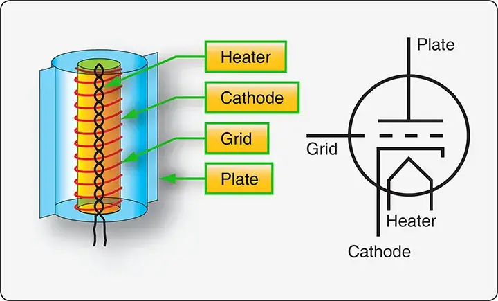 Triode vacuum tube showing its three elements: cathode, plate, and control grid