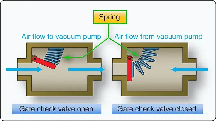 Gate check valve used to protect an aircraft vacuum system from engine backfire damage