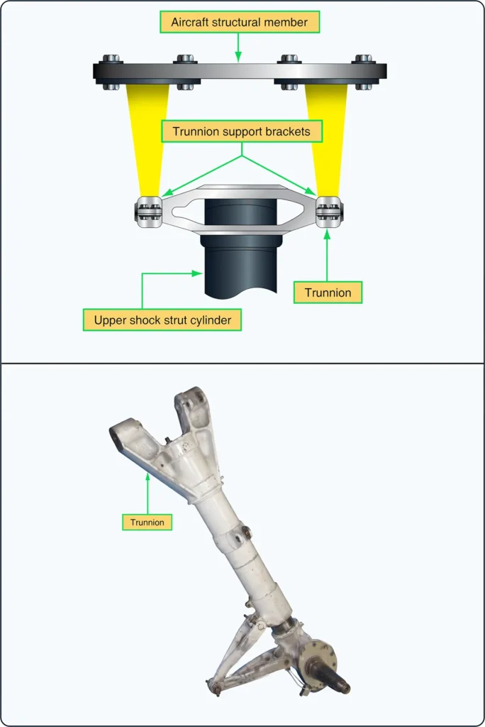 Landing gear trunnion with bearing surfaces supporting retraction of the gear strut