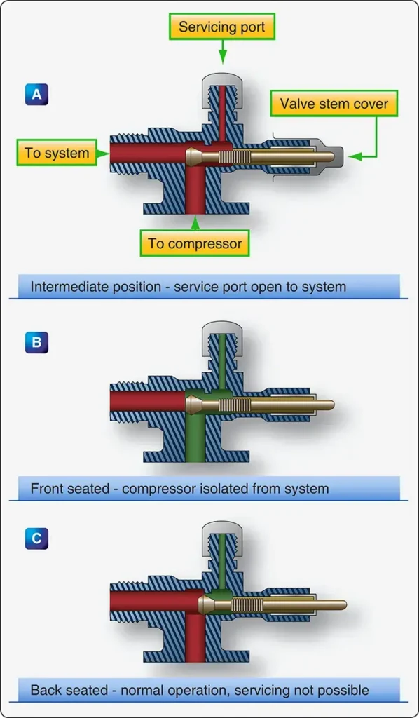 Compressor isolation valves used to separate the compressor during maintenance while allowing vapor cycle system operation and refrigerant servicing