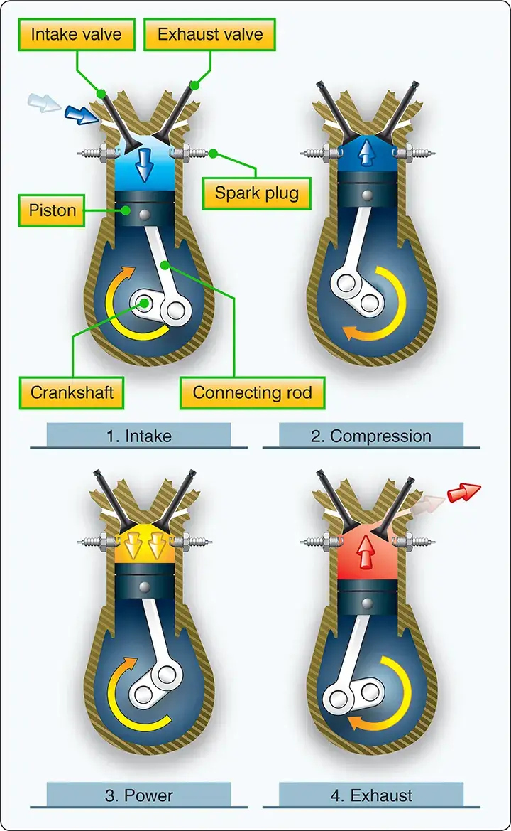 Direction of motion of the crankshaft and piston during the four-stroke cycle