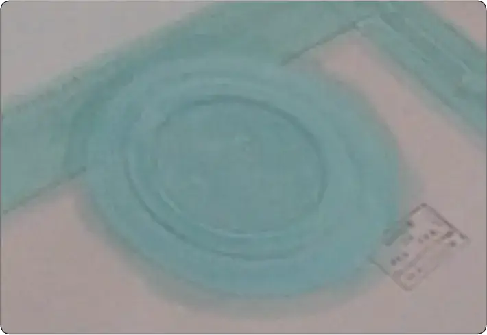Aircraft fabric inspection ring cemented in place with an approved fabric overlay