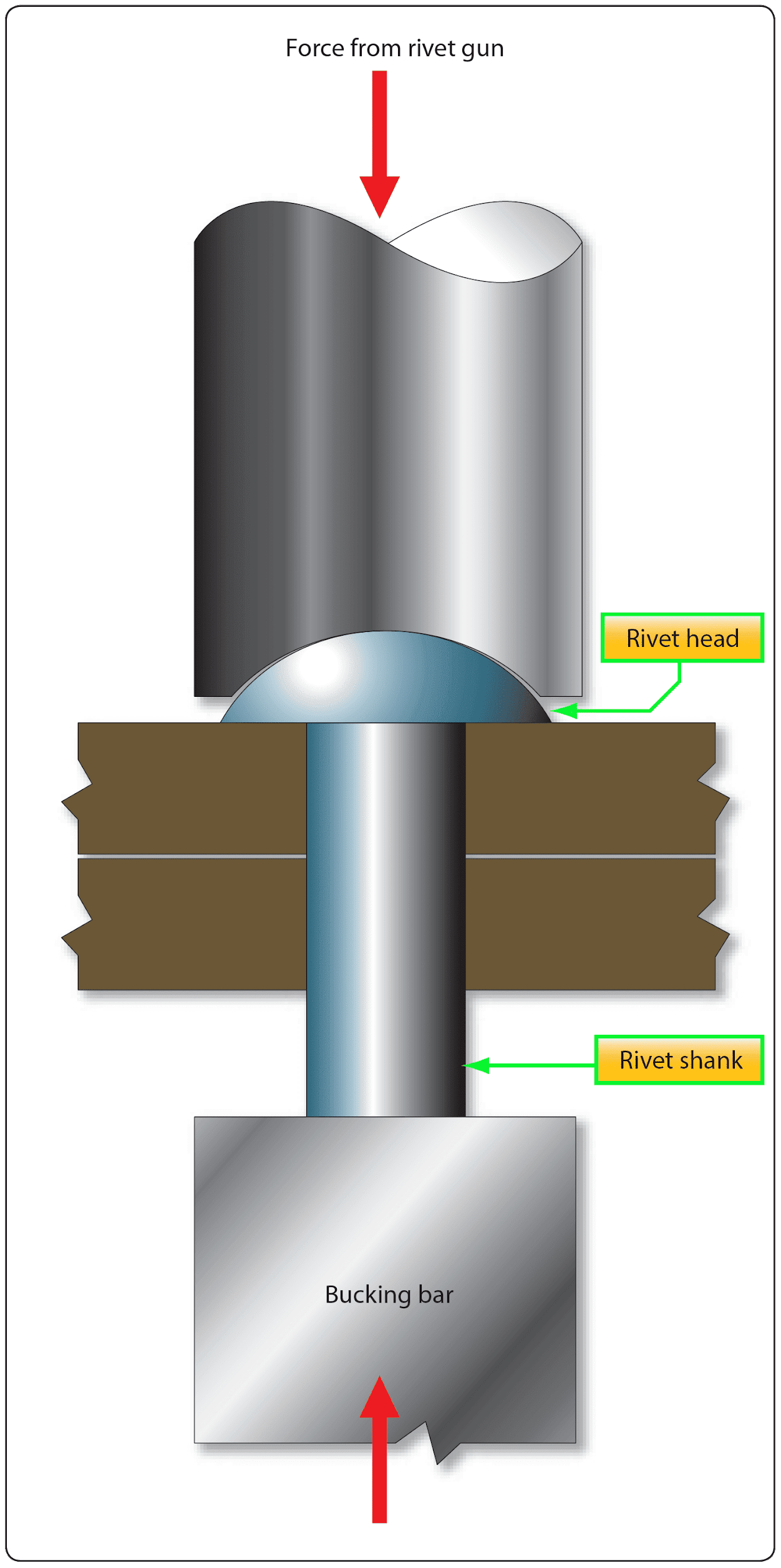 A rivet fastener and compression