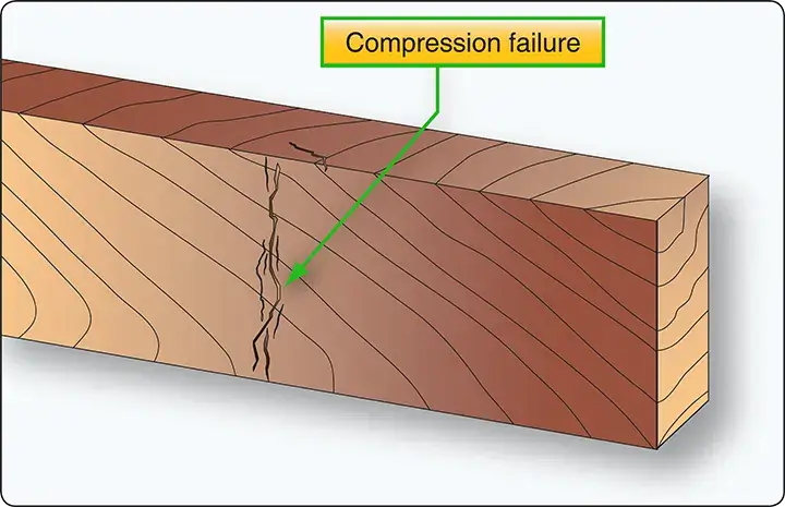 Pronounced compression failure in a wooden aircraft structural beam