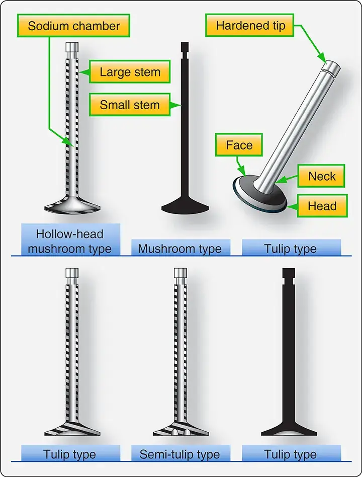 Examples of different valve types used in aircraft reciprocating engines