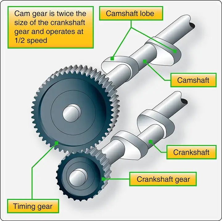 Cam drive mechanism of an opposed-type aircraft reciprocating engine showing the components used to operate the valve train