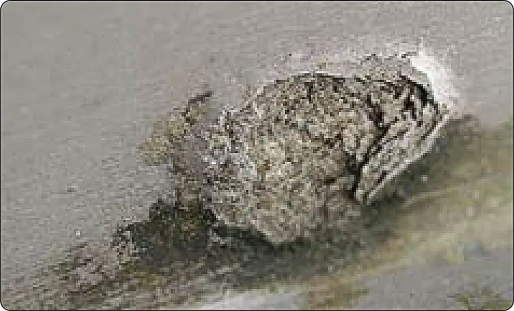 Aircraft aluminum structure affected by exfoliation corrosion, with layers of metal separating and lifting along the grain boundaries