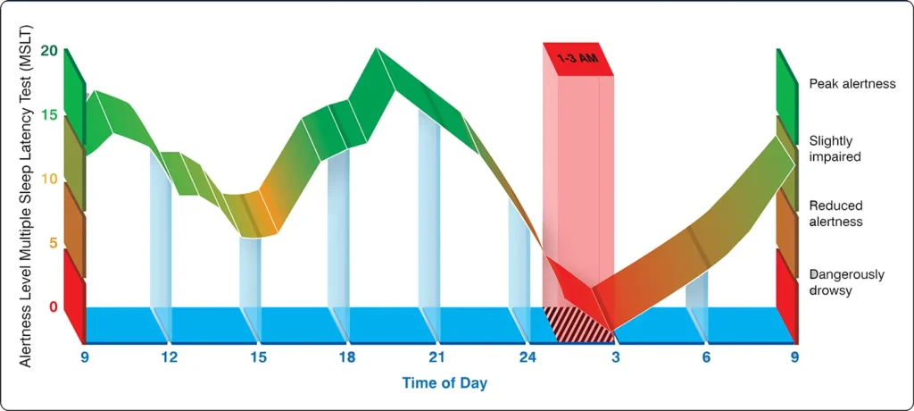 Diagram illustrating daily changes in alertness and other human performance factors influenced by the body's natural circadian rhythm