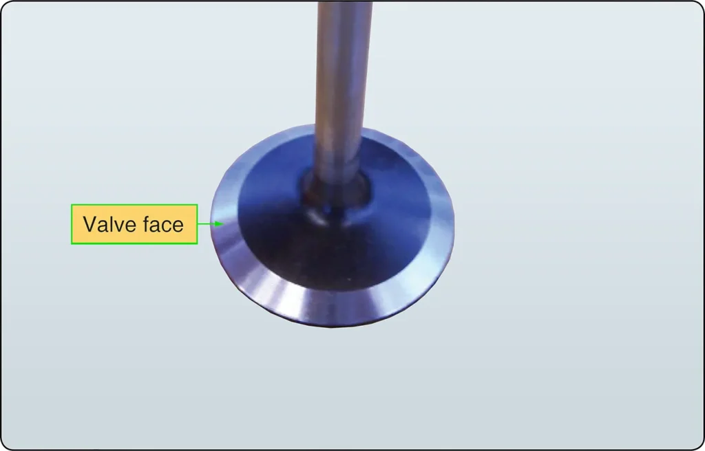Close-up illustration of an engine valve face showing the seating surface inspected for wear, damage, and irregularities