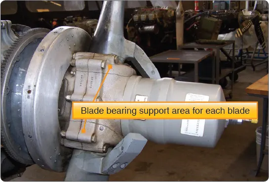 Diagram showing the blade bearing surfaces inside a propeller hub where the blades are supported and pivot during blade-angle adjustment